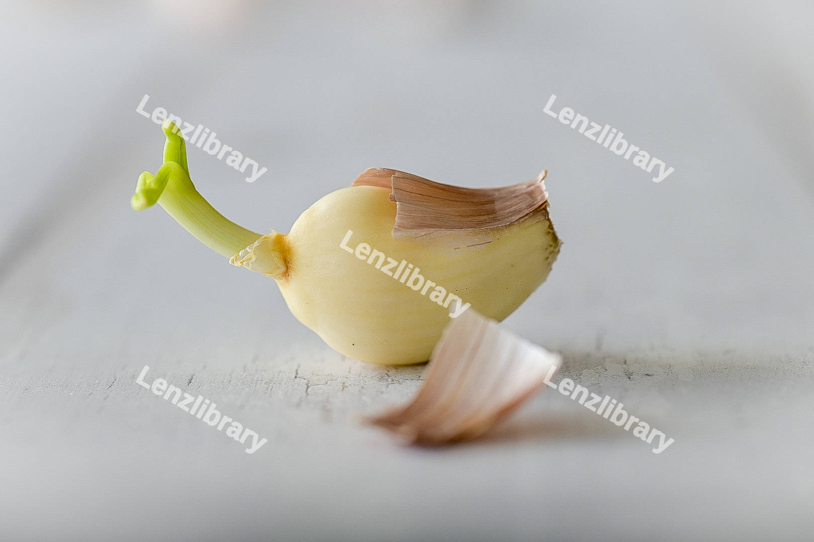 Peeled garlic with the root